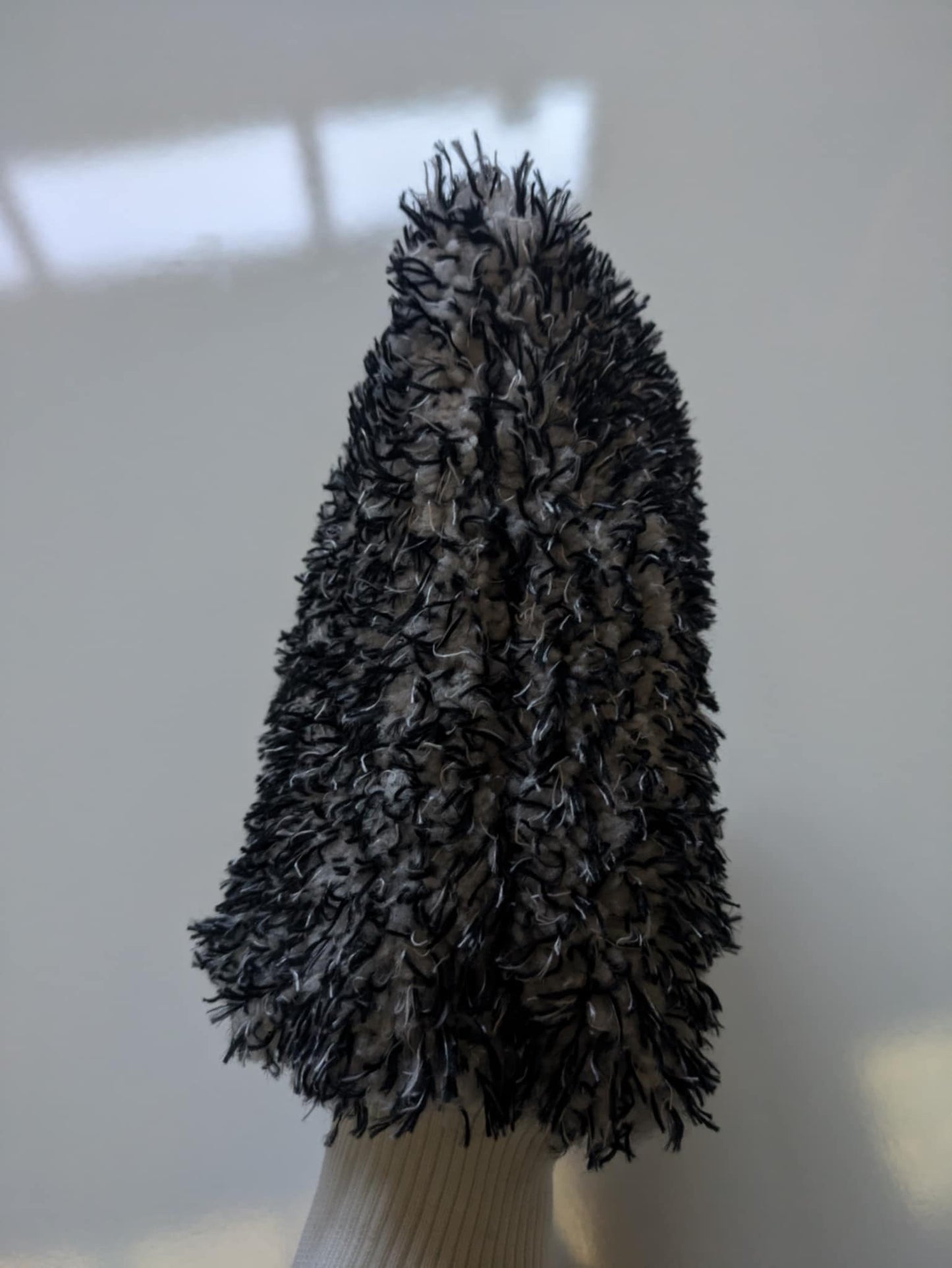 Washing Mitt